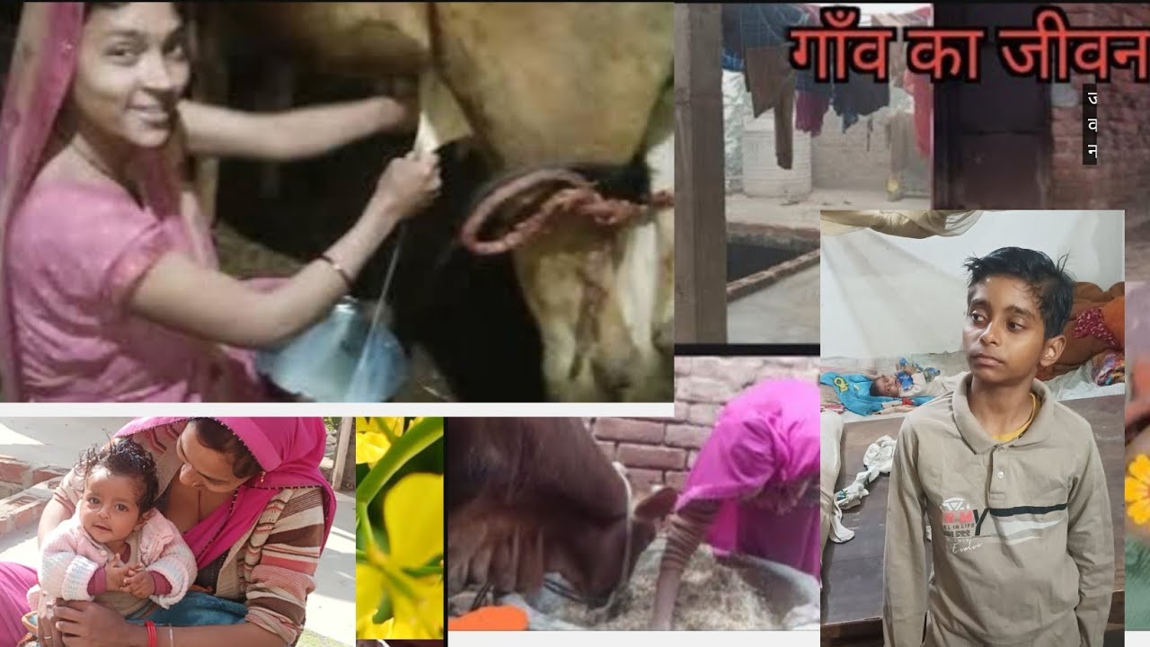 Indian cow milking vlog #vlog #milking #cow 