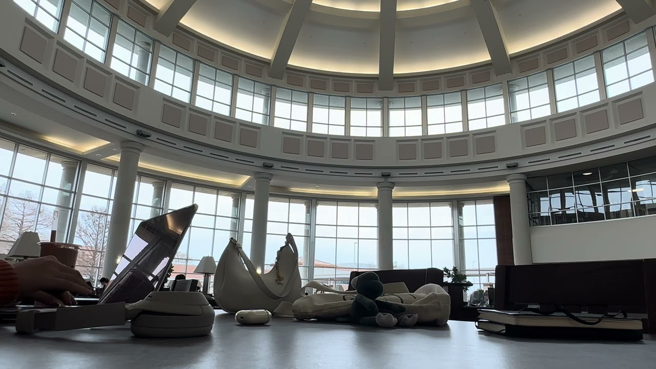 45 minutes of Library ambiance | Lock in with me