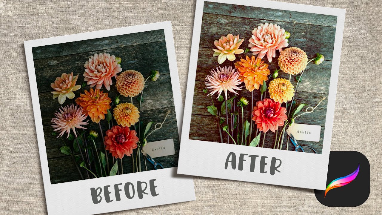 Procreate Can Do THIS?! Easy Photo Edits for Beginners 🪄