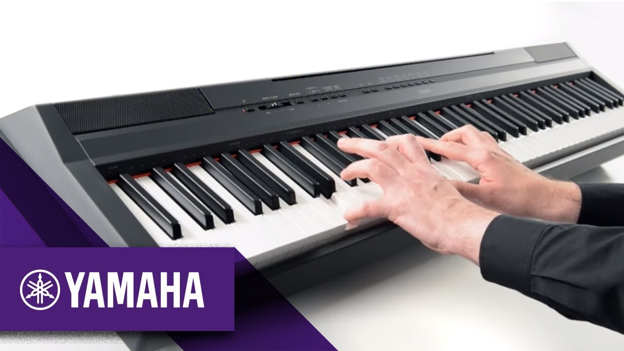 P-115 Digital Piano Overview