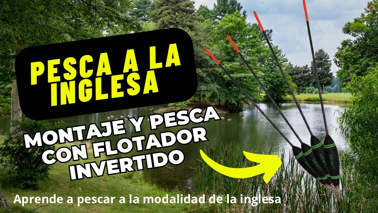 Pesca a la inglesa con flotadores invertidos, montajes y técnicas