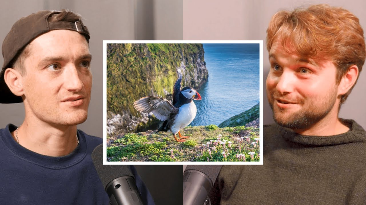 Bird ID Apps: Shazam for Birds! Expert Guide