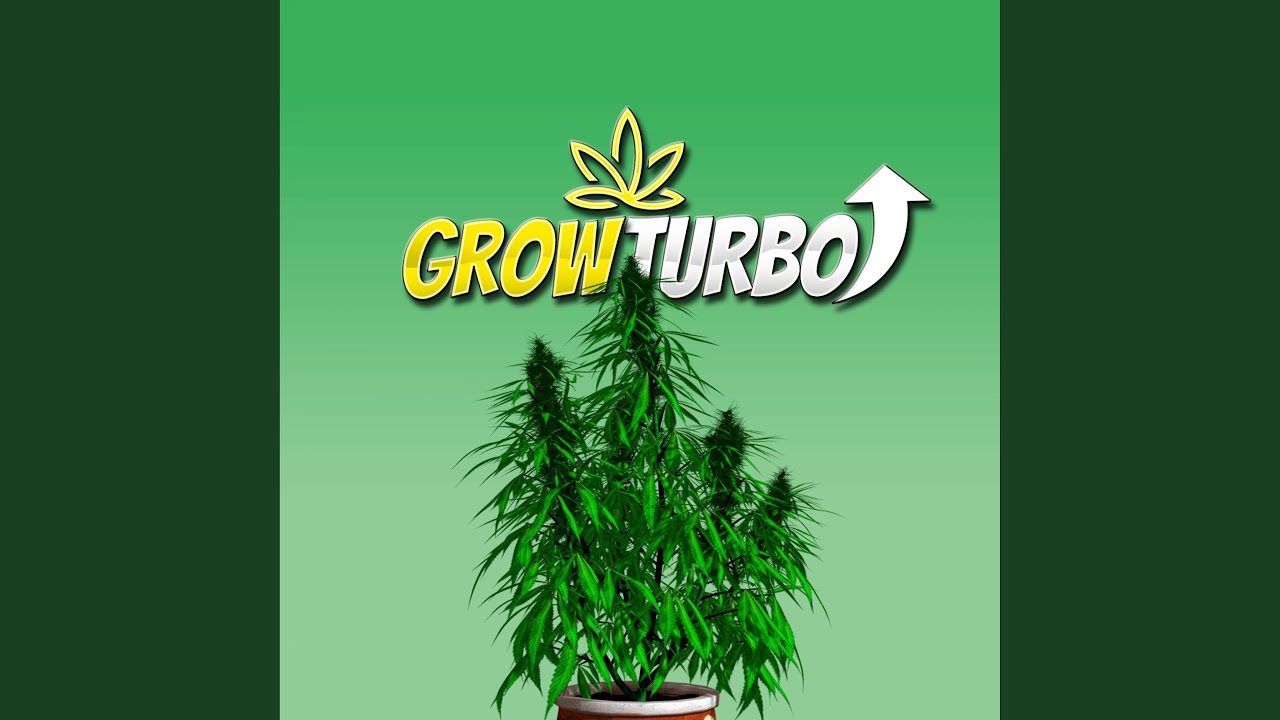 Cannabis Plant THC Frequencies
