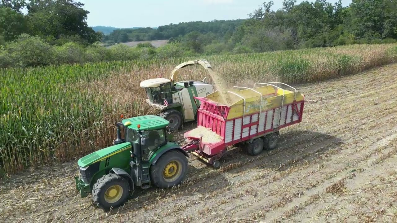 Siláže 2024 - Krone BigX700 Agroslužby Zdychynec - ZD Žďár