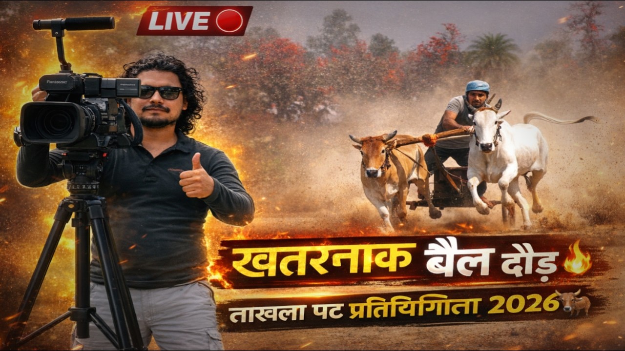 Live Event ताखला पट प्रतियोगिता 🔴 Ox Race Competition 👍 Dangerous Pat | Village Bullock Cart Race