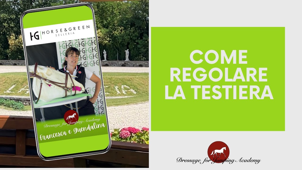 Come regolare la testiera, basi del bit fitting #dressageforjumping #equitazione #cavalli