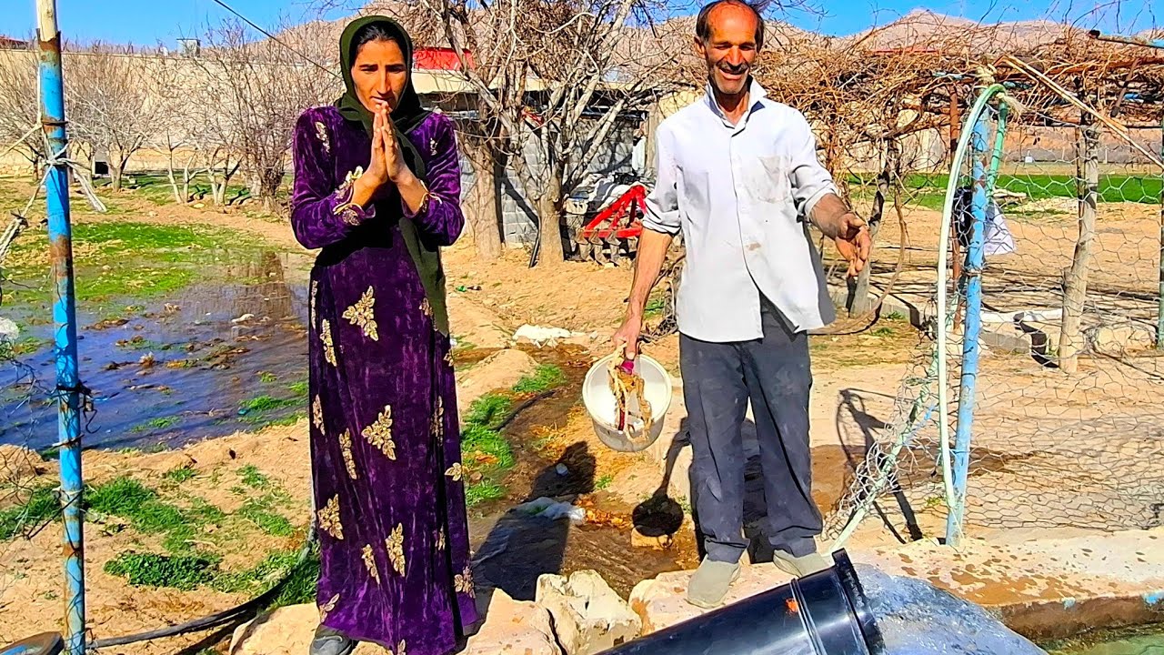 Poor widow who became the support of an injured nomad man