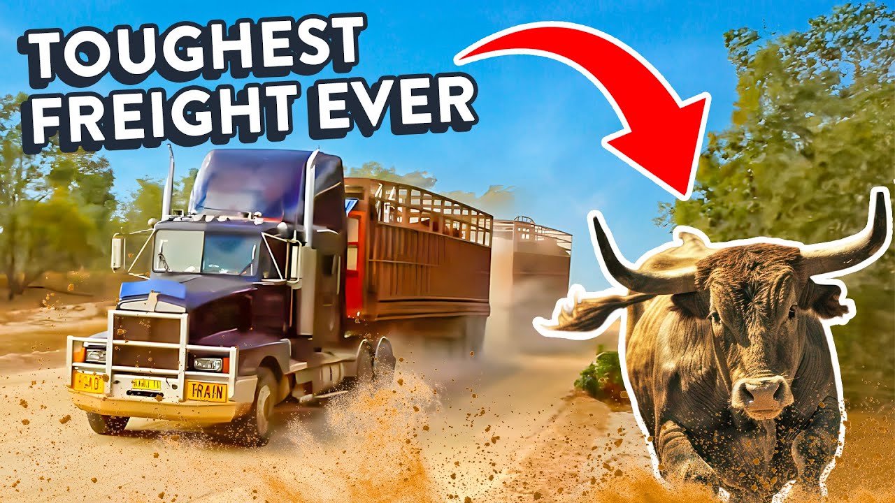 On the Road with an Australian Livestock Trucker | From Farm to Rodeo