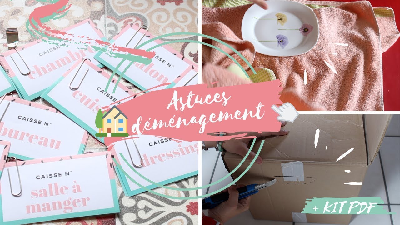 👩🏻‍💻 ORGANISER SON EMMÉNAGEMENT / DÉMÉNAGEMENT ⎜Astuces + KIT PDF! 📝