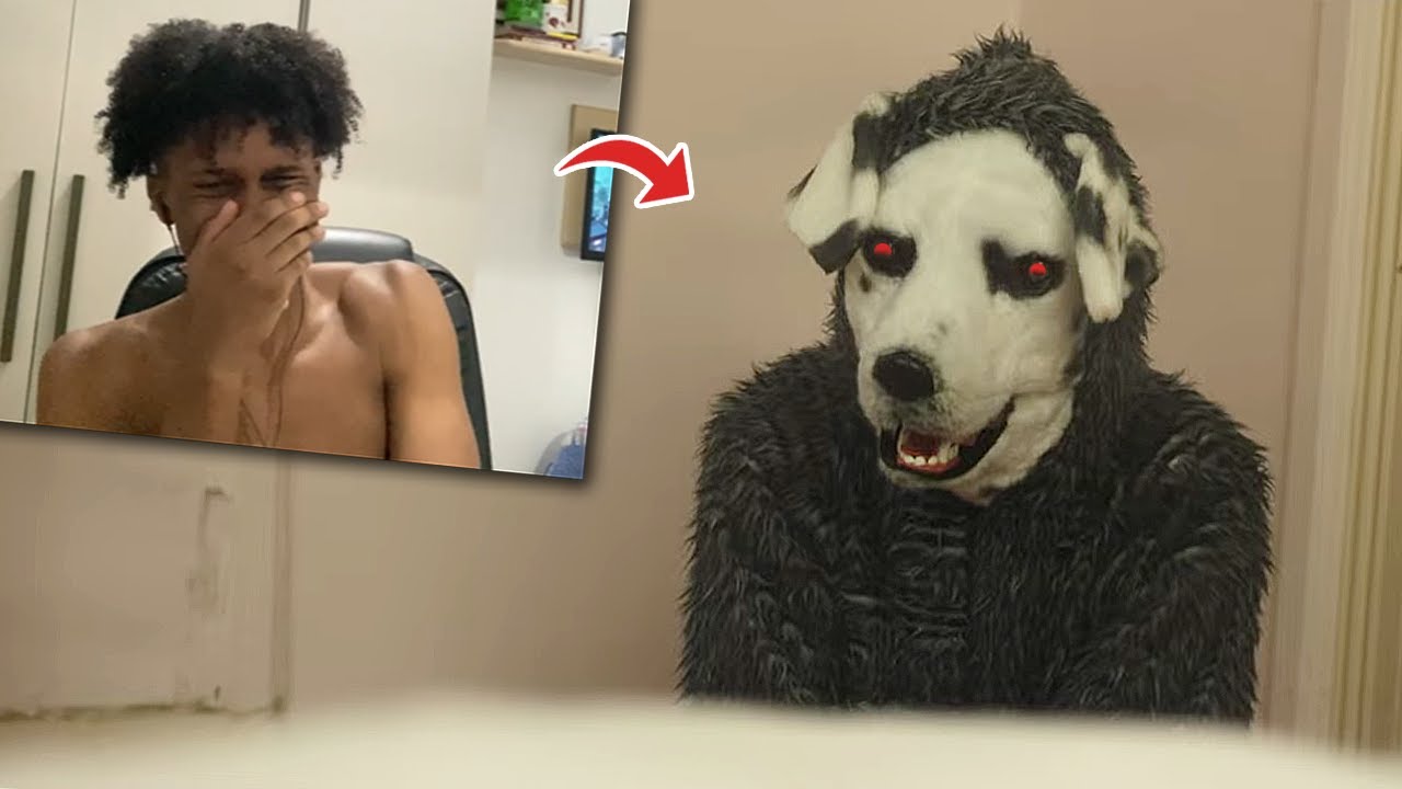 MEU TRAUMA PERSEGUE - Canine