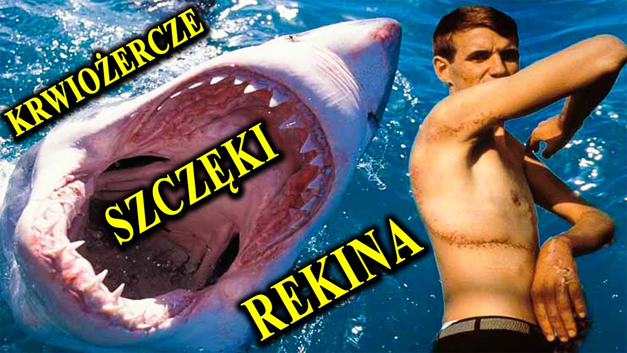 REKIN - R&oacute;żne Oblicza Bestii - Od Ludojada i Megalodona do Kosogona
