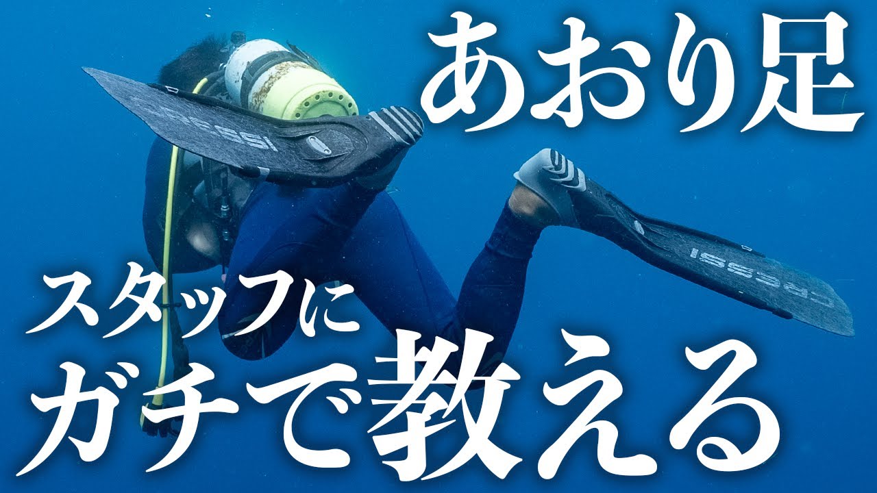 フィンキック講座『あおり足』スタッフトレーニングをお見せします