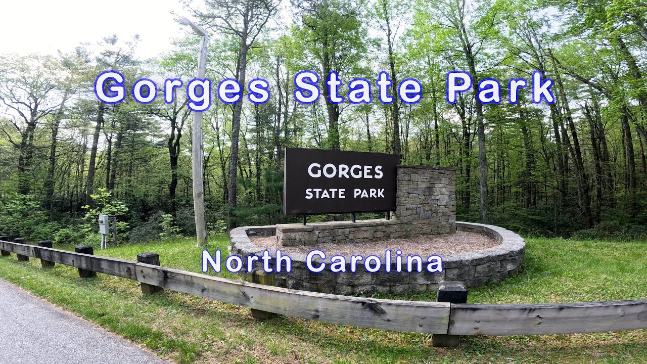 Gorges State Park, North Carolina
