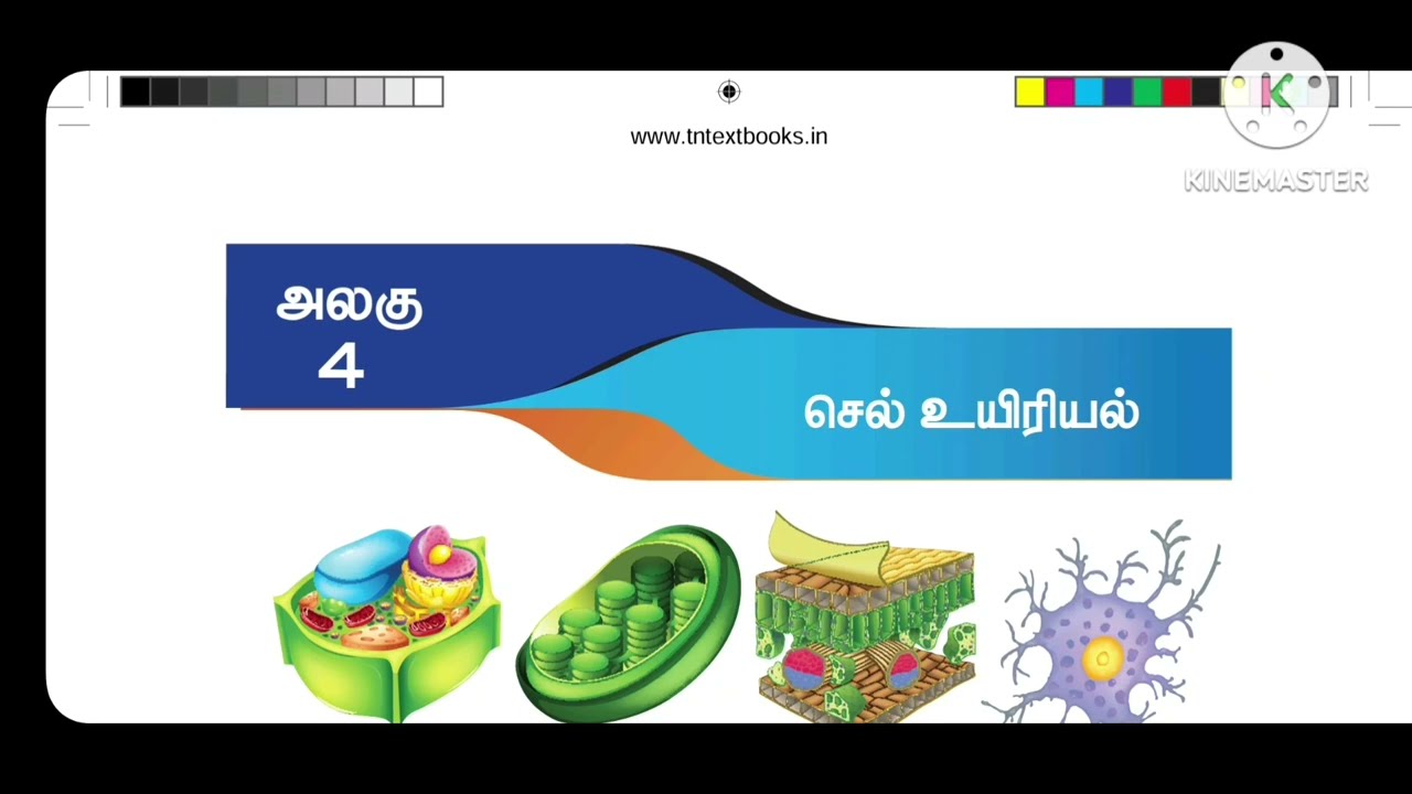 7th standard science Term 2 அலகு4  செல் உயிரியல் வினா விடைகள் book  one word #sarakrishnaacademy 