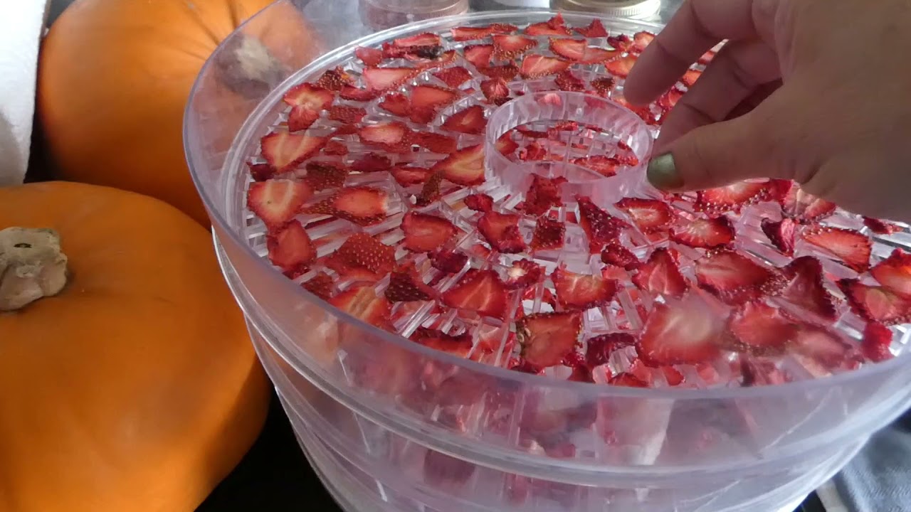 dehydrating strawberries