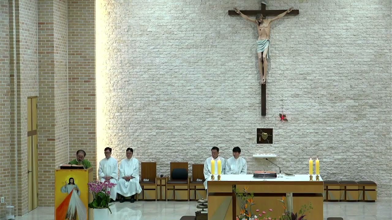 하느님의 자비 청라성당 2026 02 15 연중 제6주일