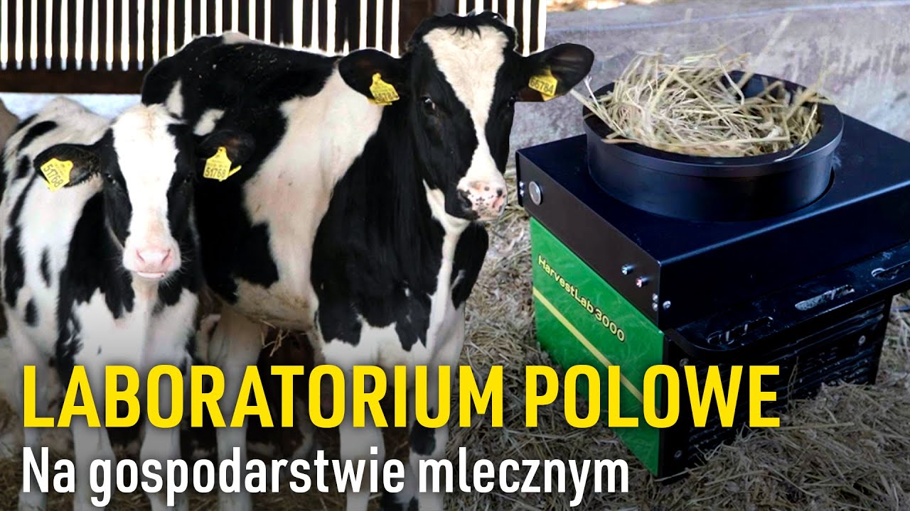HarvestLab – jak technologia zmienia żywienie bydła mlecznego? | Wanicki Agro