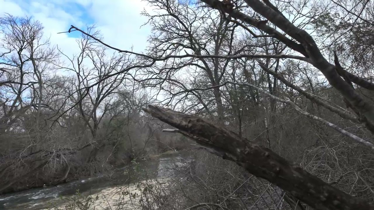 Brushy Creek (Round Rock, TX) the day after a rain.