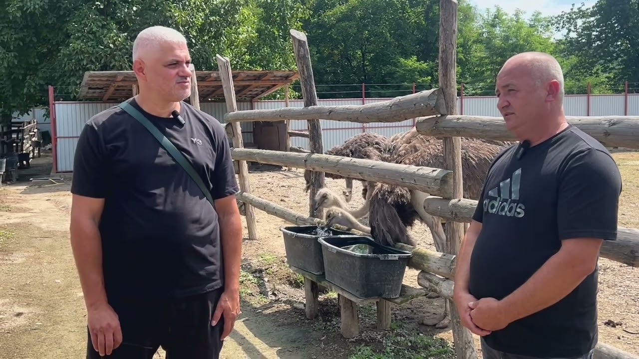 Ferma de struti Arges și lacuri cu peste !