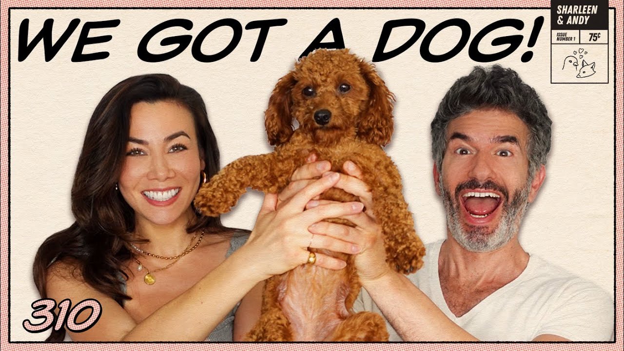 We Got A Dog!!! Shandy's Dog Adoption Story - Ep 310 - Dear Shandy