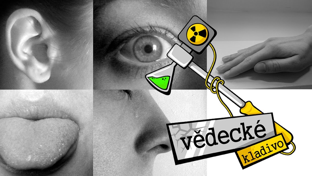 Kolik máme skutečně smyslů? - Vědecké kladivo