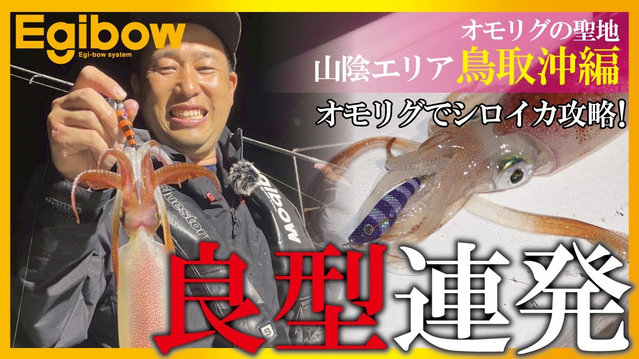 【Egibow】初心者も必見！エギボーでオモリグの聖地山陰エリア鳥取沖のシロイカを攻略!!