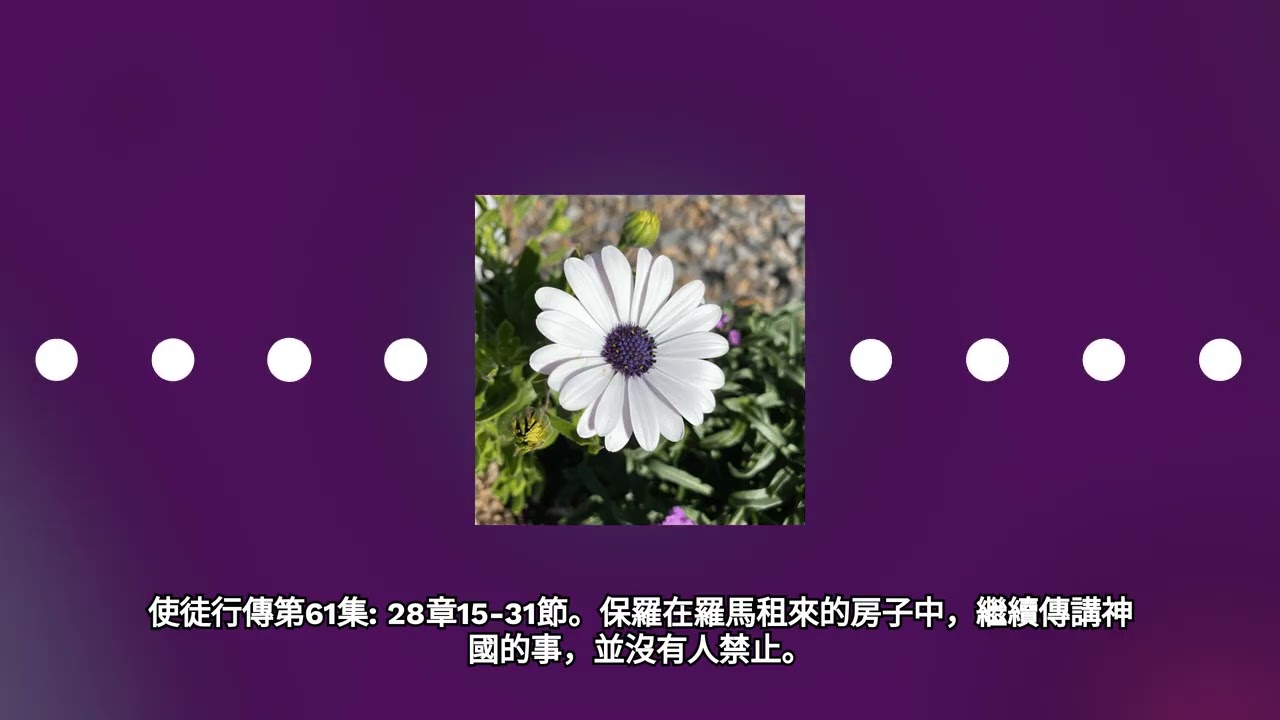 使徒行傳第61集: 28章15-31節。保羅在羅馬租來的房子中，繼續傳講神國的事，並沒有人禁止。 | 每天跟妮可一起讀聖經