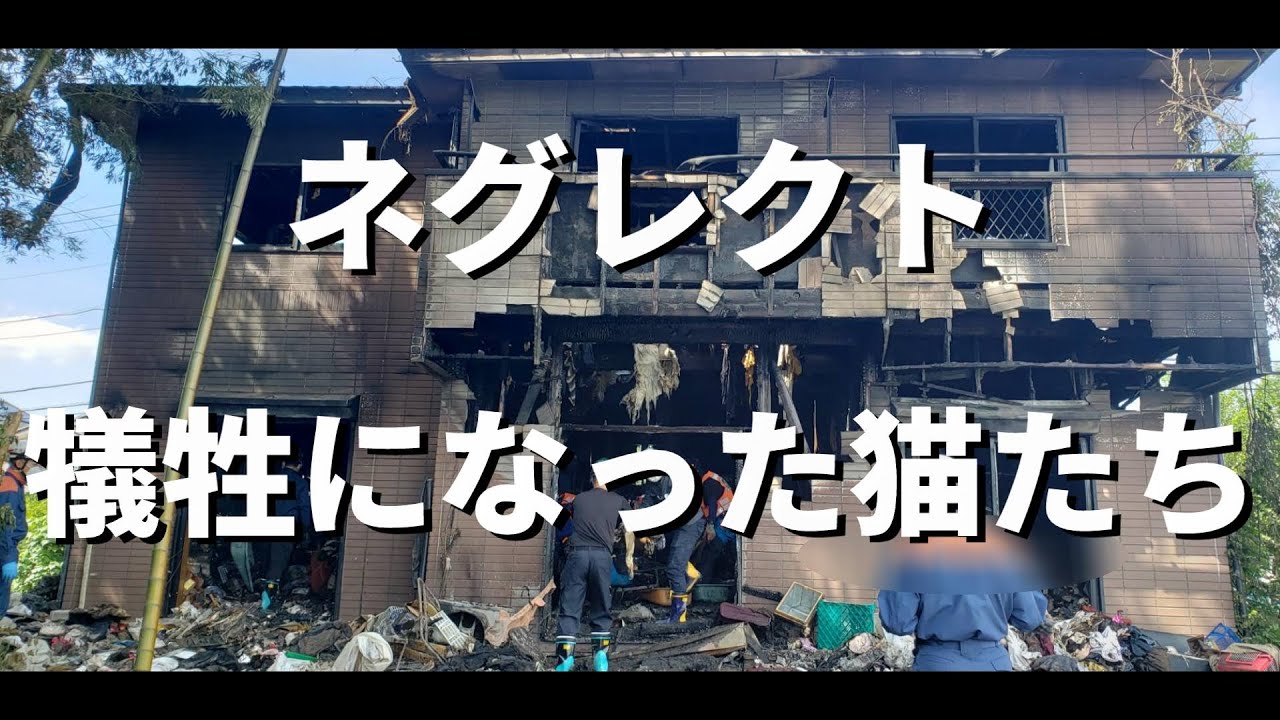 救えなかった命（ネグレクト保護から1年半）：７３８