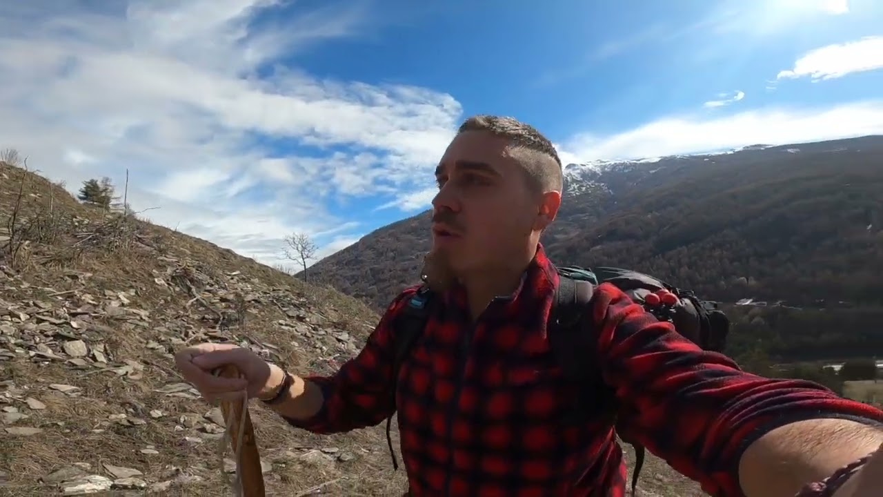 WILD PIEMONTE- cerchiamo palchi di cervo in val Susa