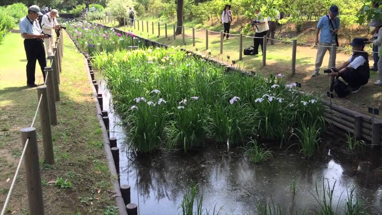 初夏の風景