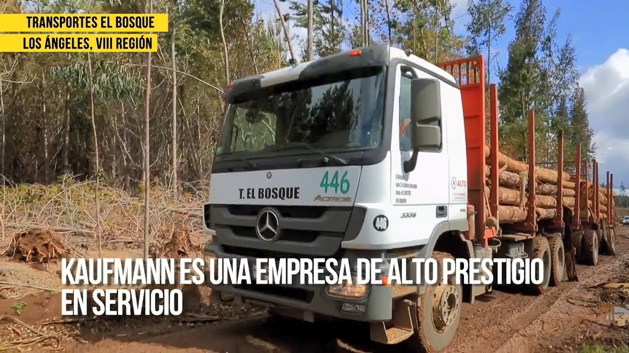 Kaufmann Clientes - Transporte Forestal El Bosque