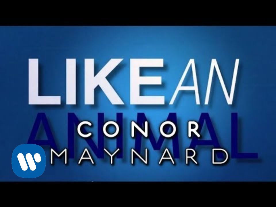 Conor Maynard - Animal (Lyric Video)