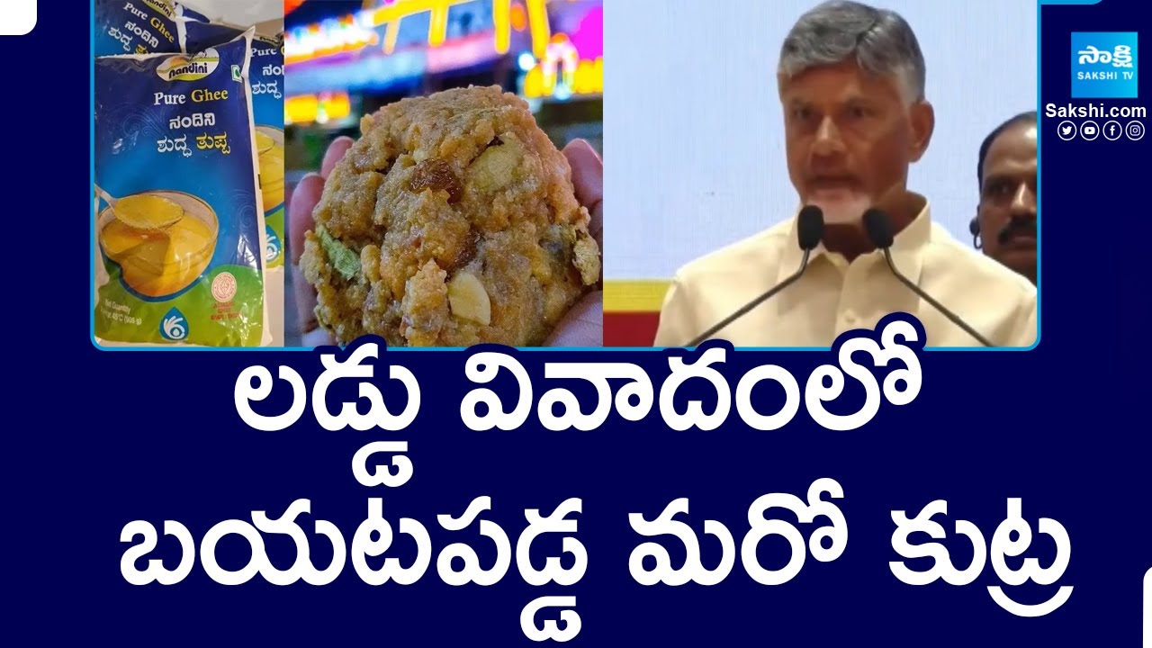 Chandrababu about Nandini Ghee | Tirumala Laddu Issue |@SakshiTV
