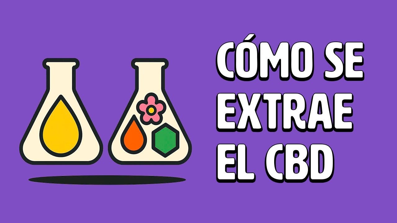 &iquest;C&oacute;mo se extrae el CBD? 3 m&eacute;todos que cambian todo