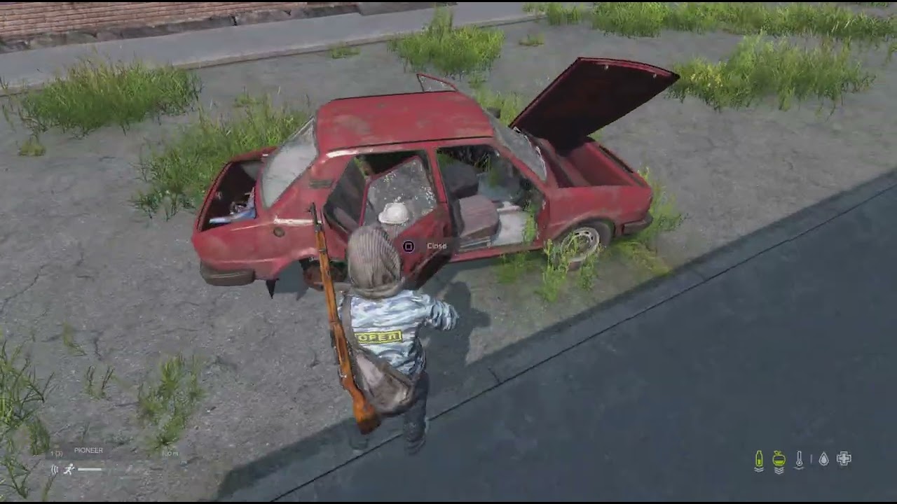 DayZ_20250614113758