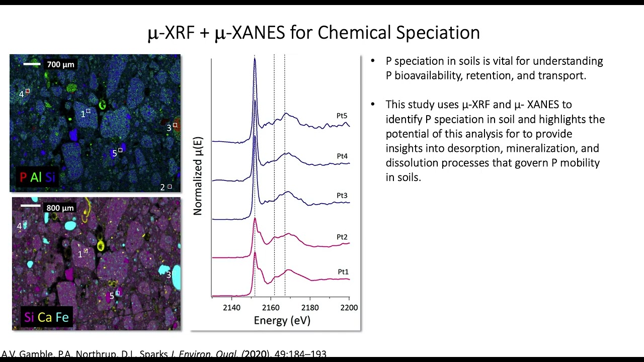 Synchrotron Based Micro-X-ray Fluorescence Imaging at SSRL