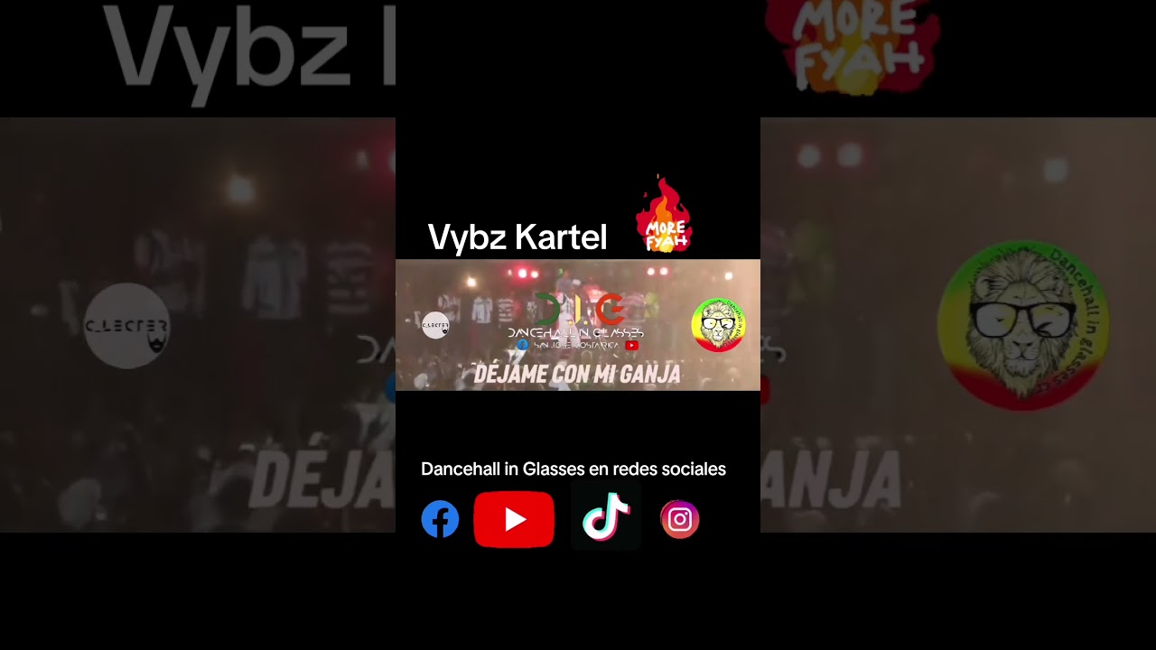 Vybz Kartel - Mr. Officer (Sub-Español) 