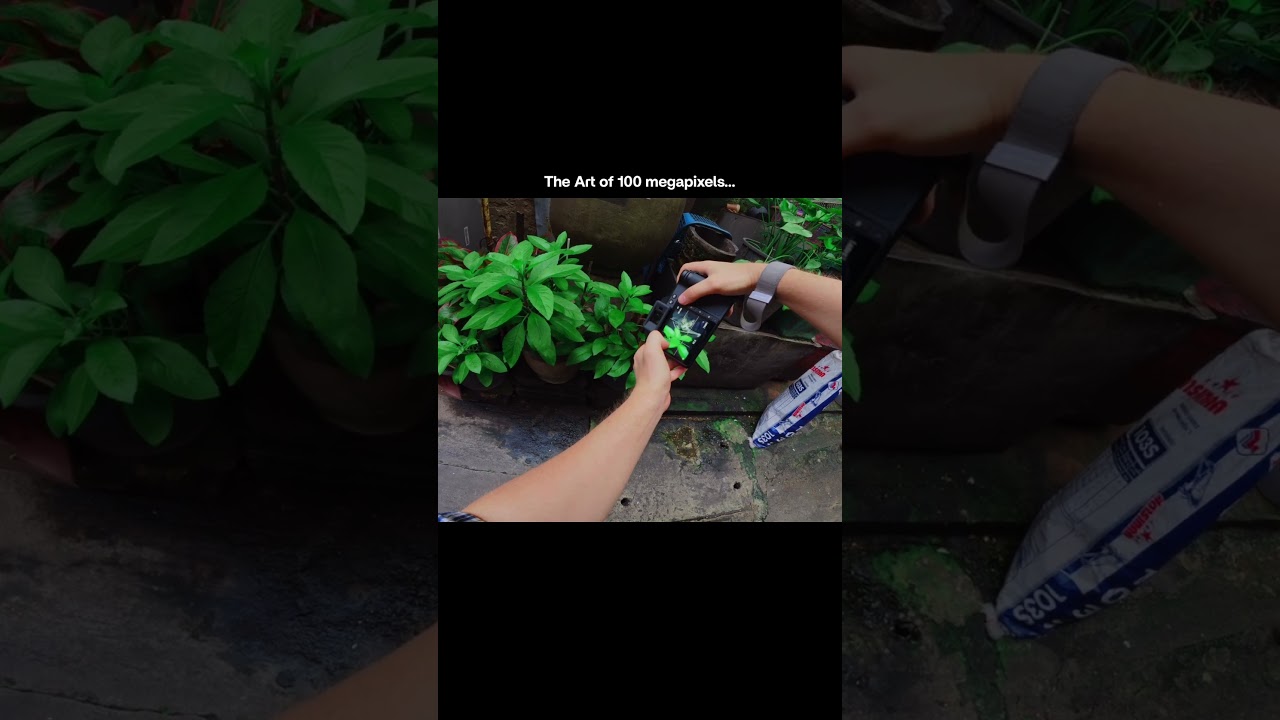 The Art of 100 Megapixels on the Hasselblad X2D 100C #hasselblad