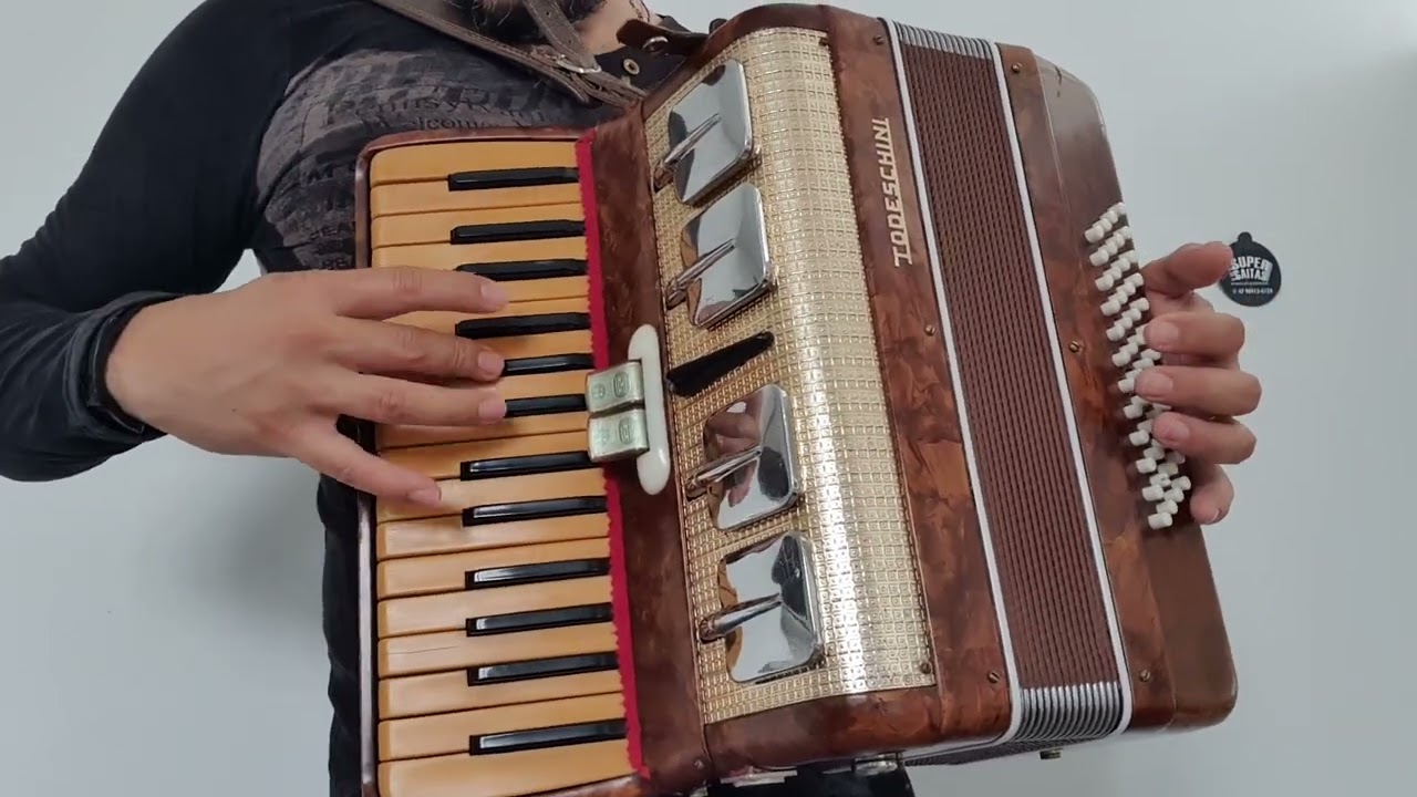 🪗 Acordeon Todeschini 48 Baixos: Uma verdadeira rel&iacute;quia.