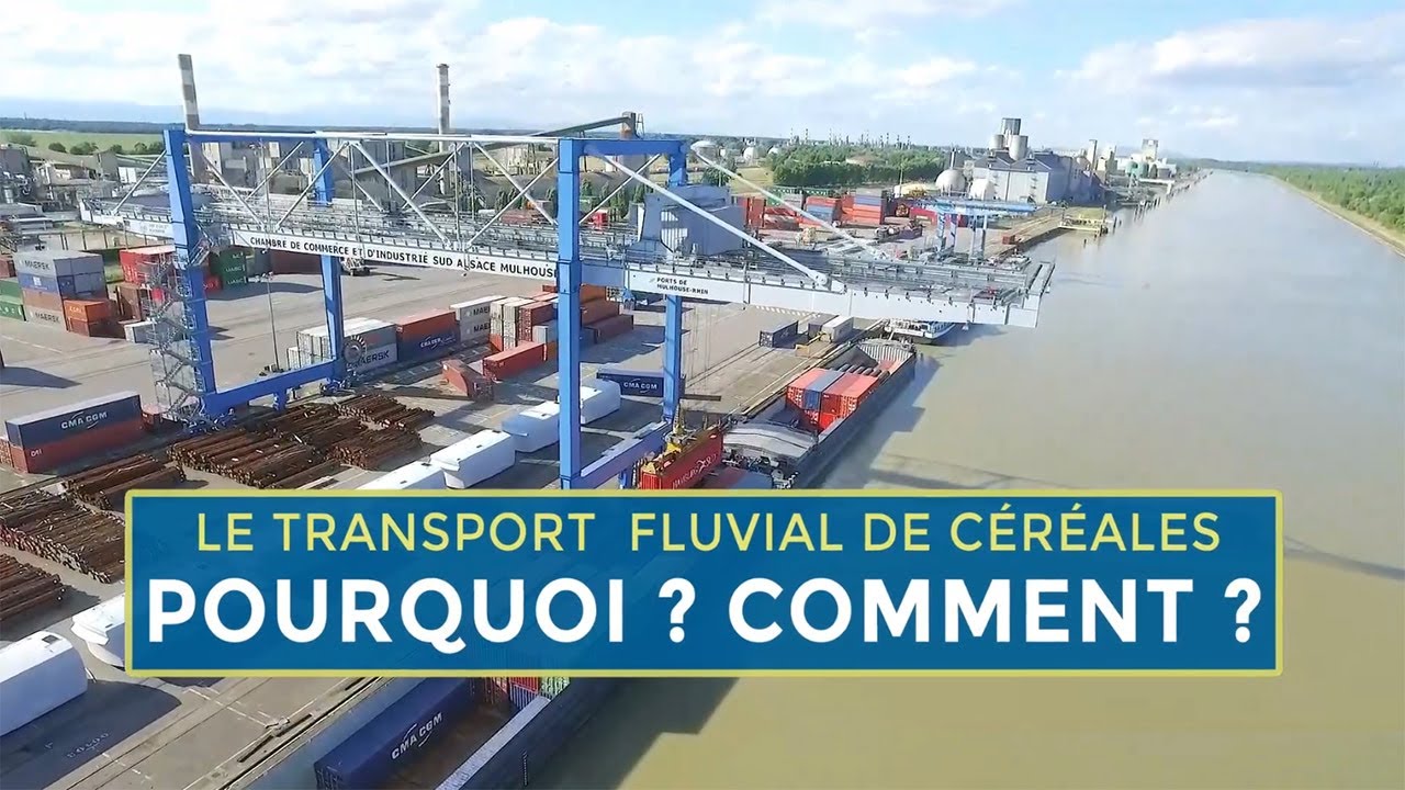 La filière agro-alimentaire
