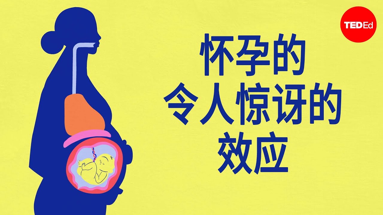怀孕的惊人影响