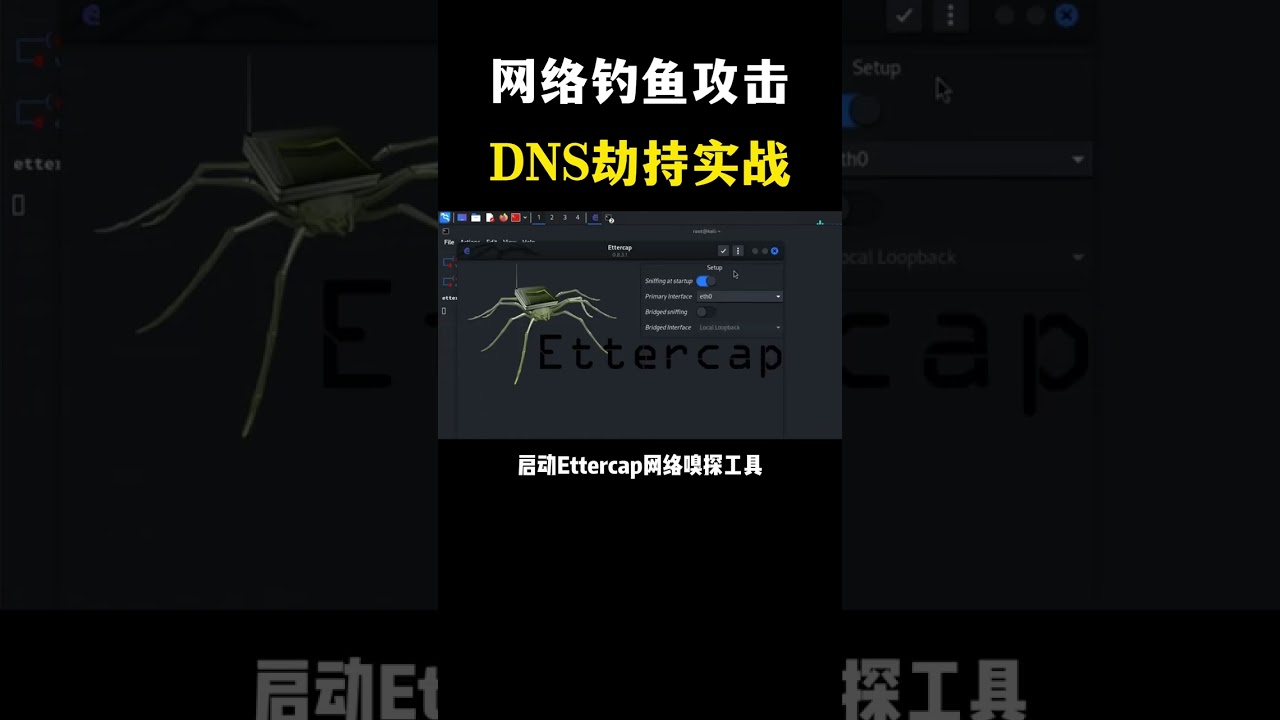 黑客网络钓鱼攻击，DNS劫持是如何让你只能访问特定网站的？#黑客 #计算机 #hacker