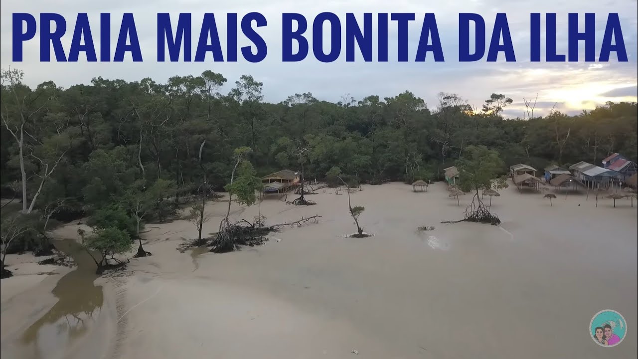 NATUREZA DÁ SHOW NA ILHA DE MARAJÓ NA AMAZÔNIA BRASILEIRA # 939 Nois Pelo Mundo