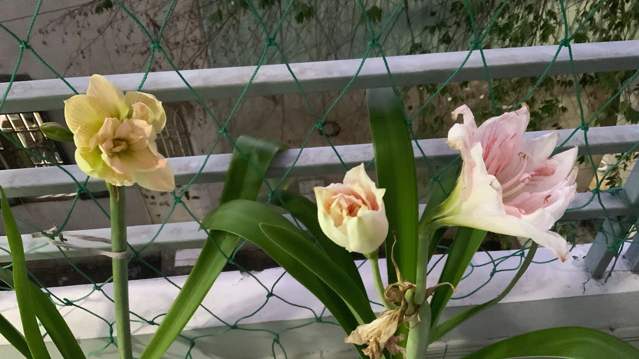 VĂN ĐỨC VF7 VLOG - KHÁM PHÁ XUYÊN VIỆT 39