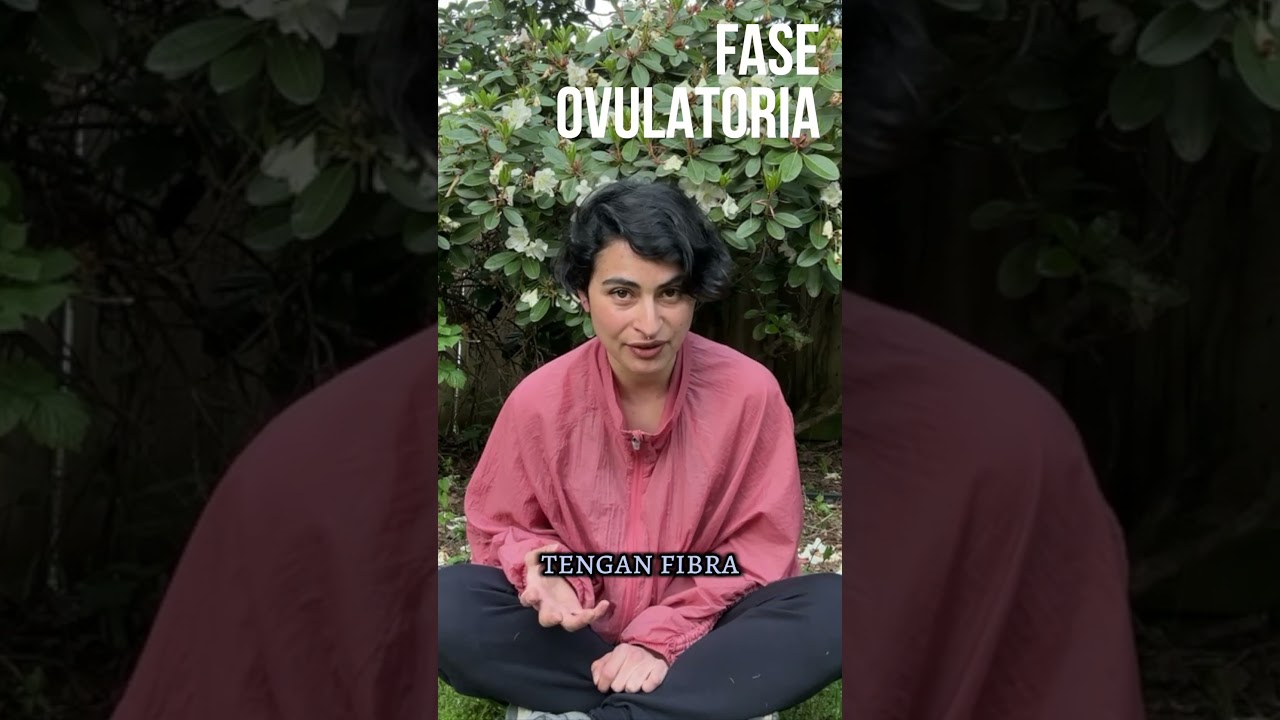 Fase ovulatoria del Ciclo Menstrual #faseovulatoria #ciclomenstrual #saludmental #psic&oacute;loga