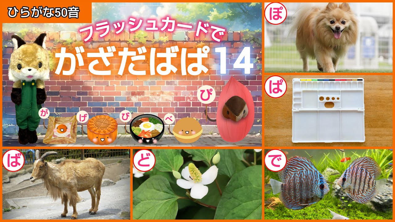 【フラッシュカード】ひらがな50音「フラッシュカードで♪がざだばぱ14」