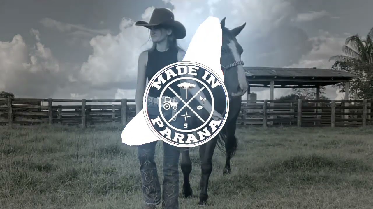 A Vida Do Country - Leo e Raphael (MADE IN PARANÁ EDITION)