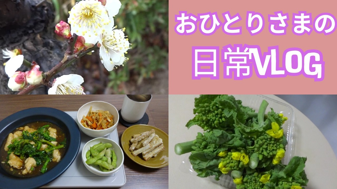 【50代一人暮らし】春が待ち遠しくて、春探しの散歩に出かけた休日/日常Vlog/おひとりさま/シングルライフ