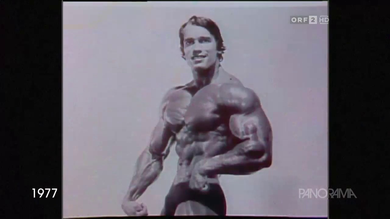Arnold Schwarzenegger 1977 - Zeitgeschichte