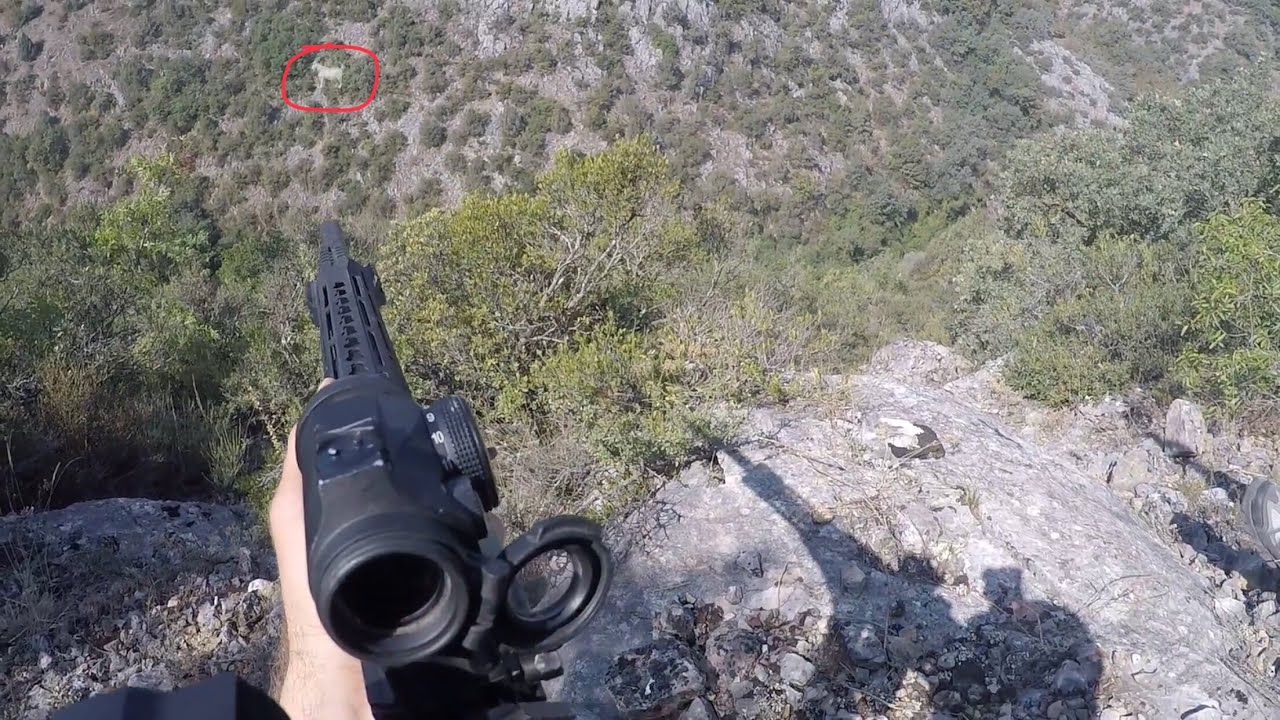250 metreden vurulan domuz!Wild Boar shot at 250 meters!